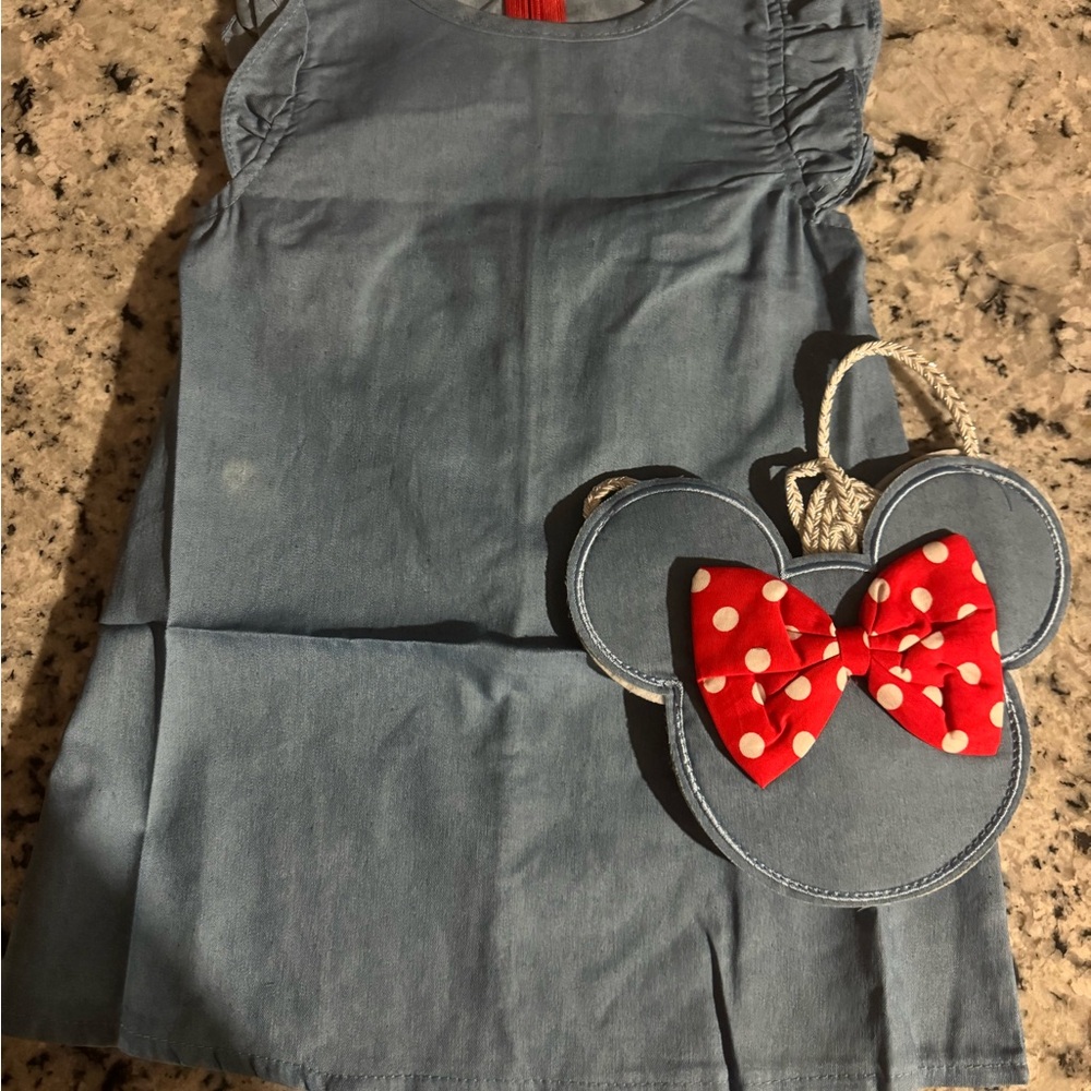Blue Dress with Minnie Mouse Bag